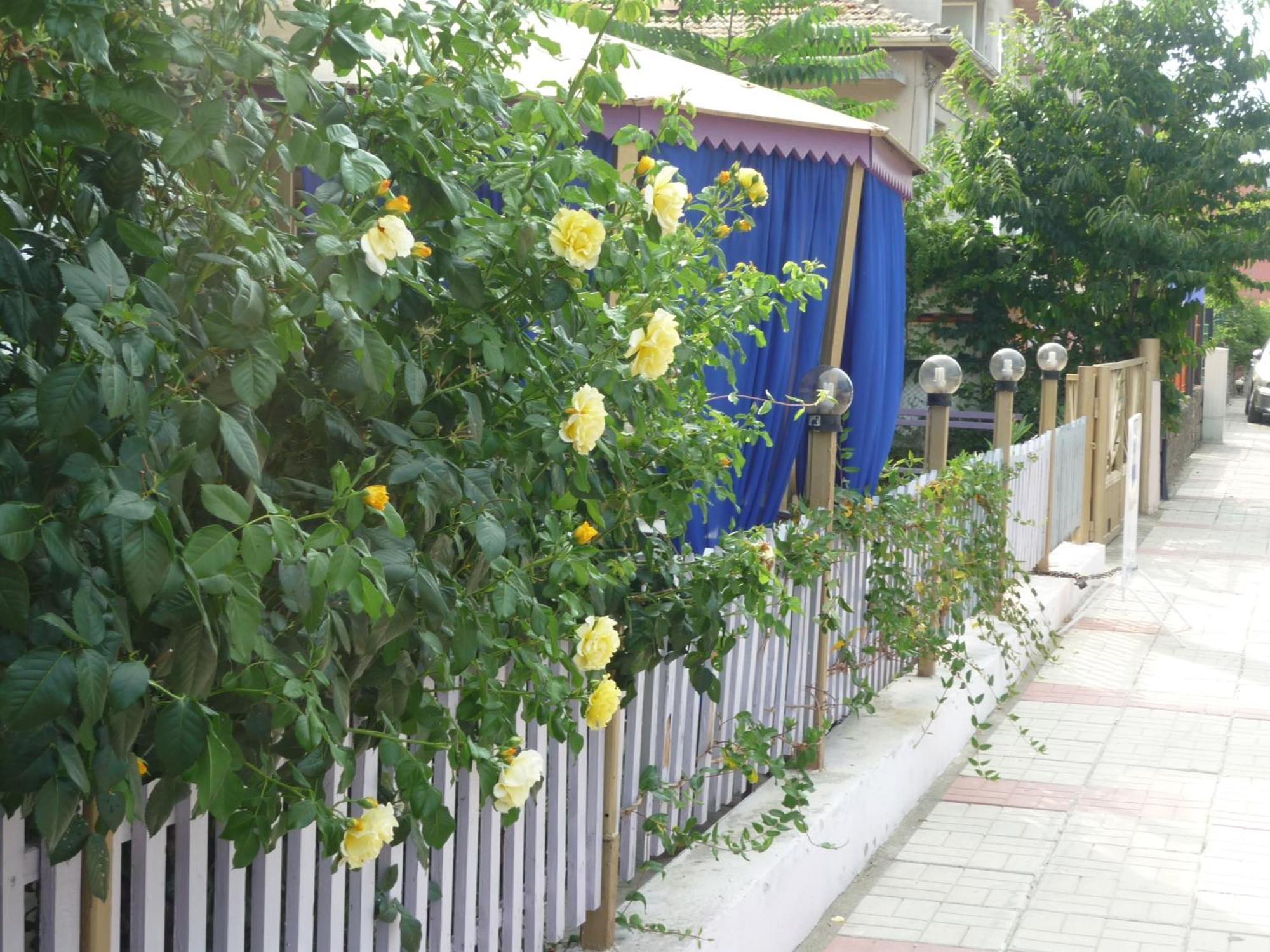 Hotel Strajica Lozenets ภายนอก รูปภาพ
